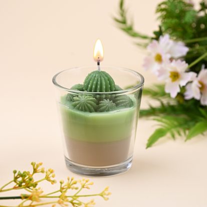 cactus candle